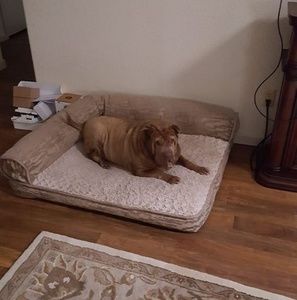 Meet your Posher, Alberta